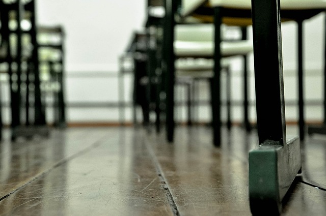 notas escolares
