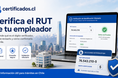 DV del empleador en Chile