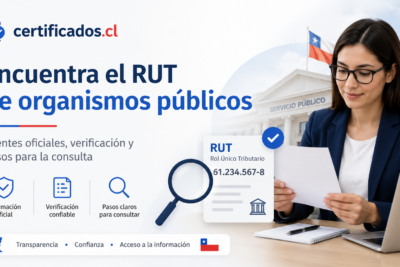 consultar el RUT de una institución pública