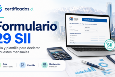 Formulario 29 SII