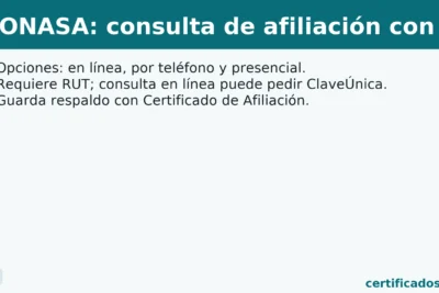 FONASA: consulta de afiliación con RUT — portada clara y sin recortes