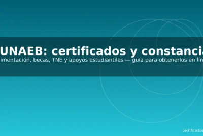 certificados y constancias: guía para obtener alimentación, becas y TNE en línea (certificados.cl)